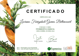Fitoenergia